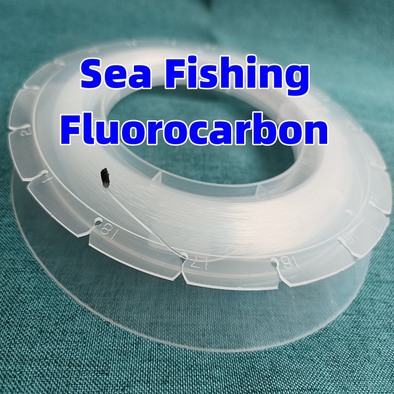 100M Angeln Fluorkohlenstoff G – Fluorocarbon Line Bewertung und Preis